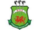 Welsh Darts